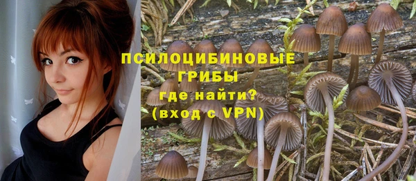 соль ск Беломорск