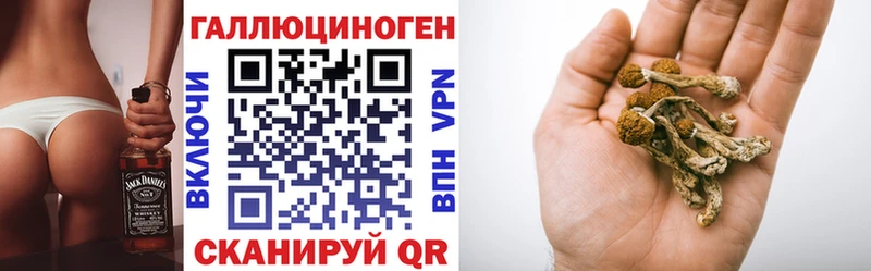 Галлюциногенные грибы Psilocybe  Купить закладки  Сибай 
